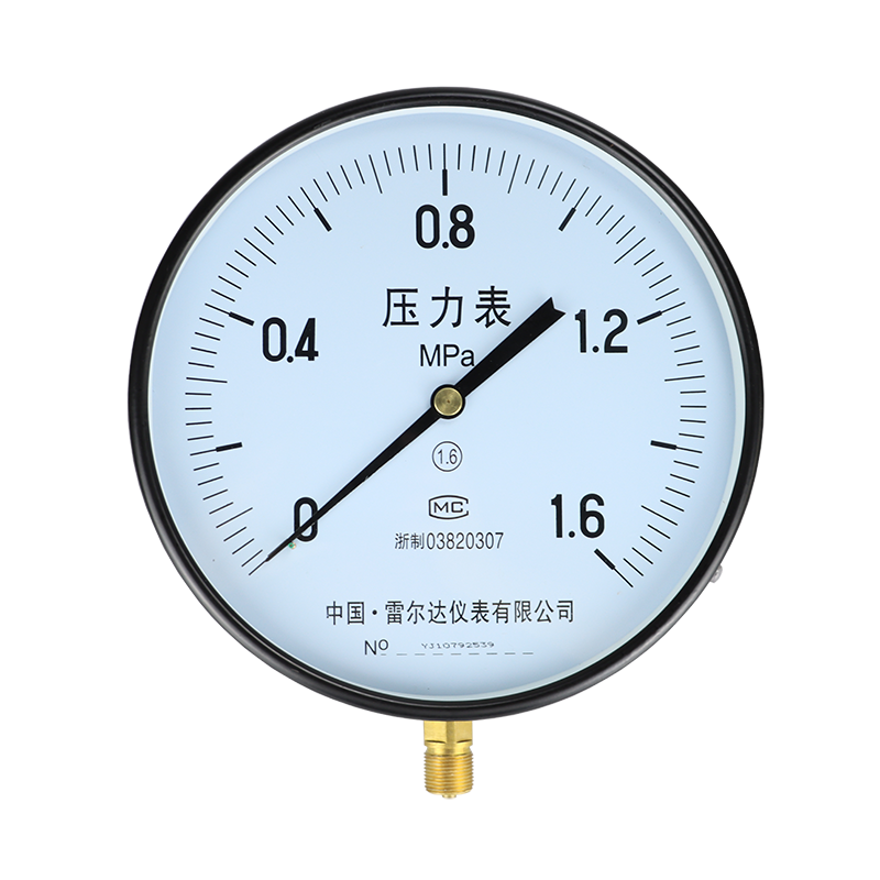 Y-250大表盤(pán)普通表